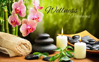 DSky  Travels  and Tourism LLC UAE. | Wellness Packages